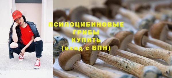 таблы Алзамай