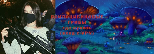 гашик Алексеевка