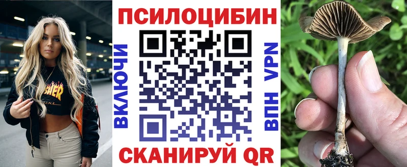 Галлюциногенные грибы мицелий  Петушки 